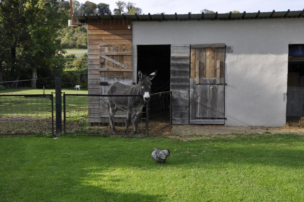 La Maison Du Bonheur "Le Gite" Saint-Ouen-sous-Bailly Екстер'єр фото